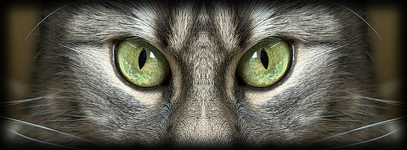 Emerald Eyes