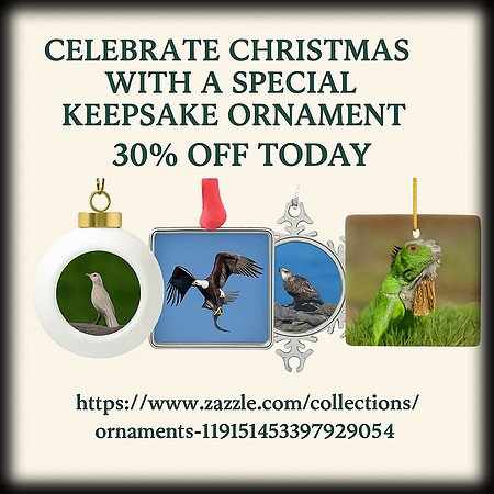 Ornament Messaging 1_pe