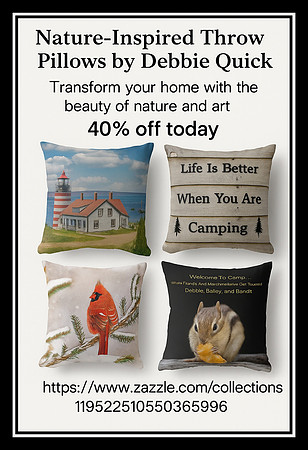 Throw Pillows
