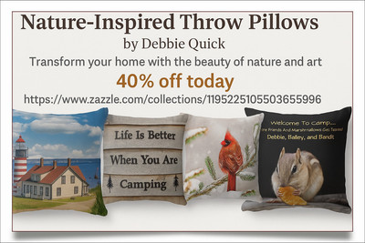 Throw Pillows Landscape