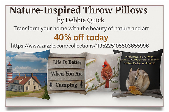 Throw Pillows Landscape