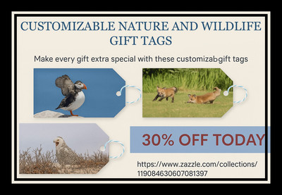 Gift Tags horizontal_pe