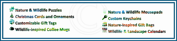 products listed with more white_pe