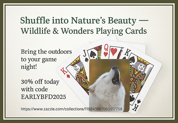 Wildlife & Wonders — Nature-Inspired Playing Cards by Debbie Quick