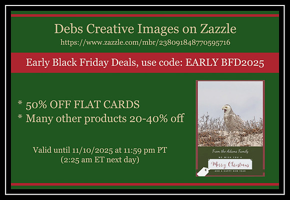 early black friday deals_pe