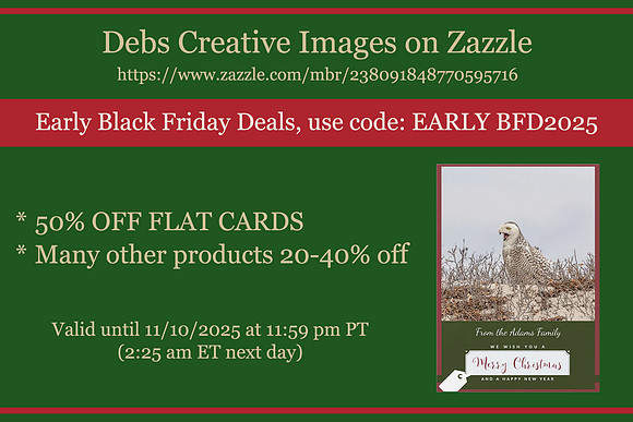 early black friday deals