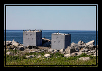 26 puffin blinds (AF3A2054) June 24 2019_pe