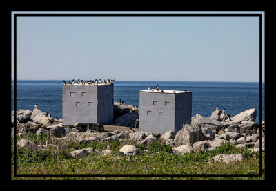 Puffin Observation Blinds on Machias Seal Island