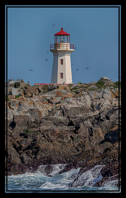 Lighthouse, birds and waves on Machias Seal Island