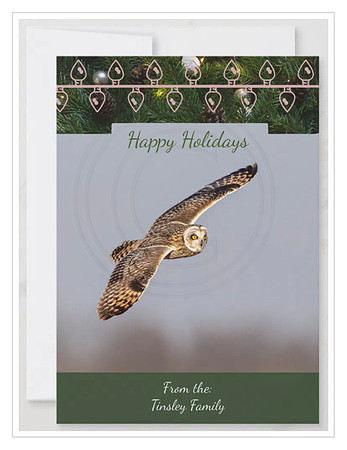 owl card