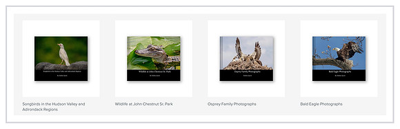 coffee table books