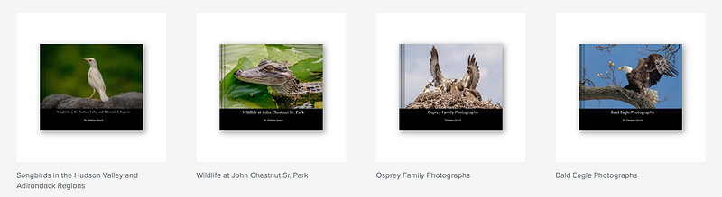 Debs Creative Images – Coffee Table Photo Book Collection