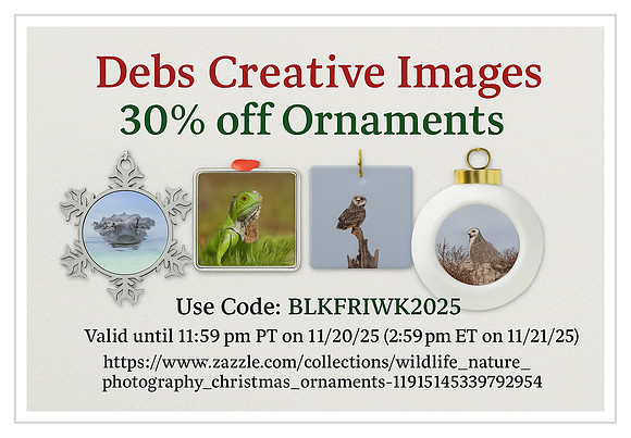 ornaments 30% off horizontal with boarder