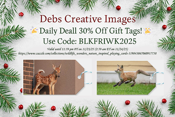 30% Off Wildlife Gift Tags – Daily Holiday Deal!