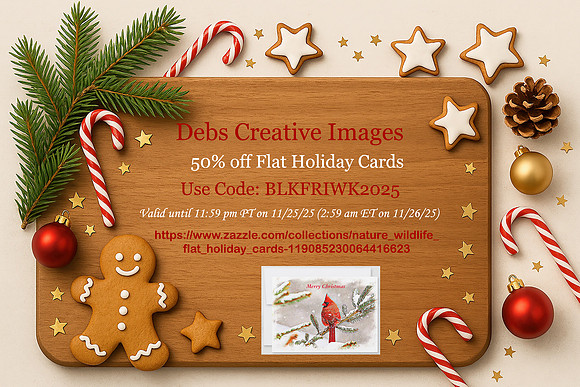 50% Off Flat Holiday Cards – Debs Creative Images Holiday Deal