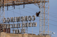 5 conowingo (AF3A0954) November 22, 2019