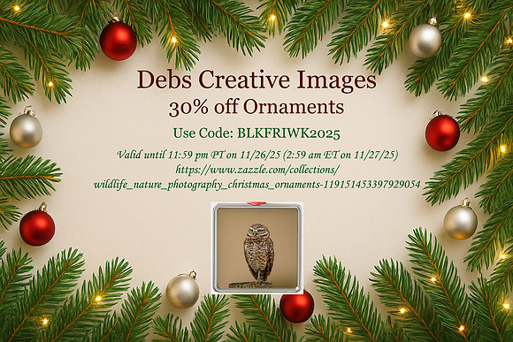 1 30% off ornaments horizontal
