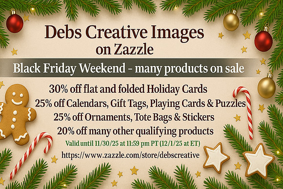 Black Friday Weekend Sale – Shop & Save!