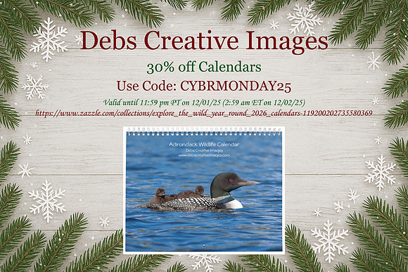 1 30% off calendars, dec 1 horizontal