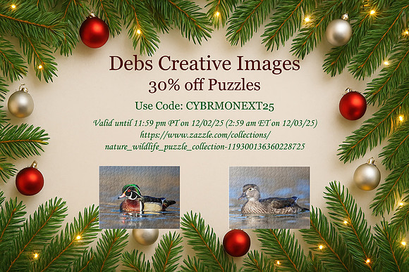 30% off puzzle horizontal
