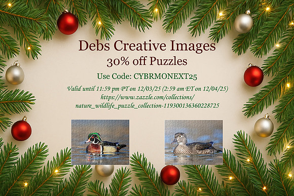 1 horizontal puzzle sale