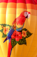 7 balloon festival (624A4136) September 23, 2017