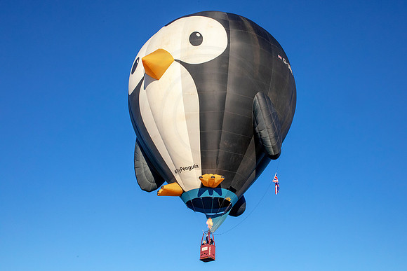 40 balloon festival (AF3A0289) September 23, 2018