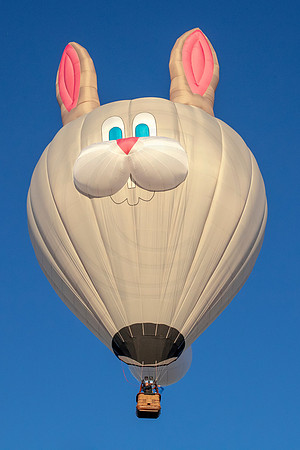 32 balloon festival (AF3A0253) September 23, 2018 copy