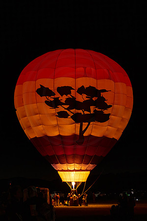 156 balloon festival (IMG_3504) September 24, 2022 copy