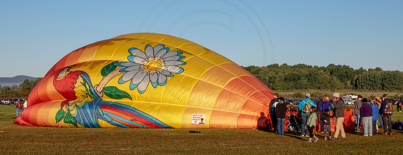 1b balloon festival (AF3A0302) September 23, 2018 copy