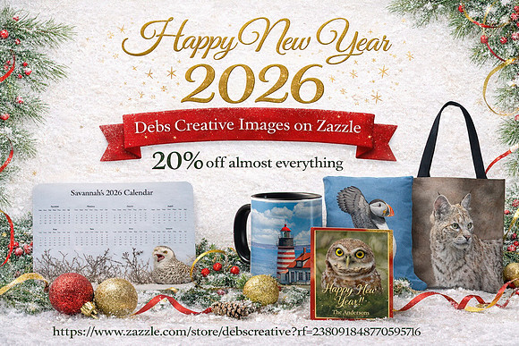 Deal of the Day Dec 31, 2025