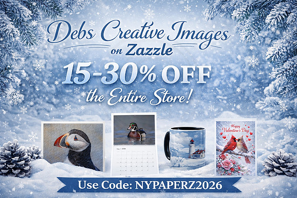 15-30% off with winter scene horizontal