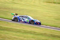 11 acura NSX GT3 (624A3534) July 22, 2017