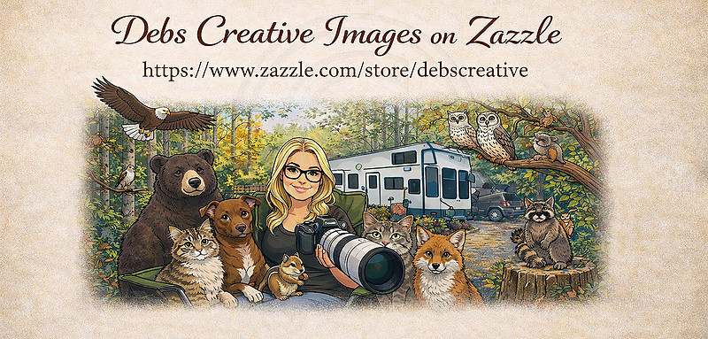 Daily Deal Banner for Zenfolio