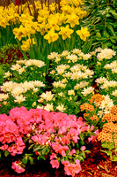 1 garden show (AF3A0656_HDR) March 3, 2021 copy 2