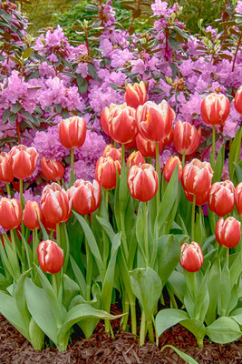 8 adams garden show poughkeepsie (624A5814) copy 2