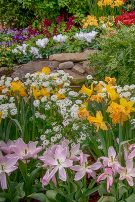 2 adams garden show (624A5875) March 14, 2020 copy 2