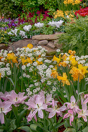 2 adams garden show (624A5875) March 14, 2020 copy 2