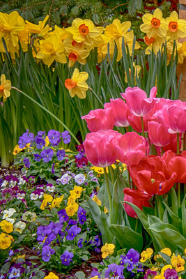1 adams garden show poughkeepsie (624A5746) copy 2