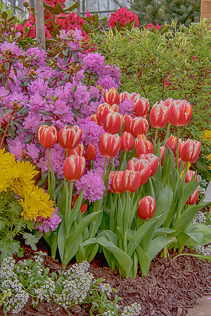 30 adams garden show poughkeepsie (624A5800) 2