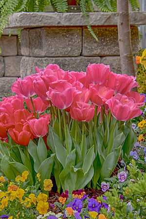 25 adams garden show poughkeepsie (624A5752) copy 2