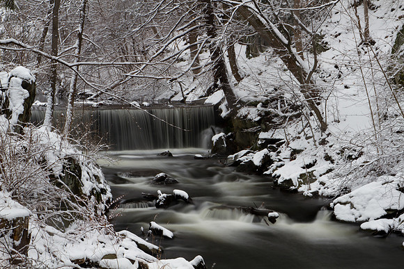 19 Winter Fun, January 16, 2013
