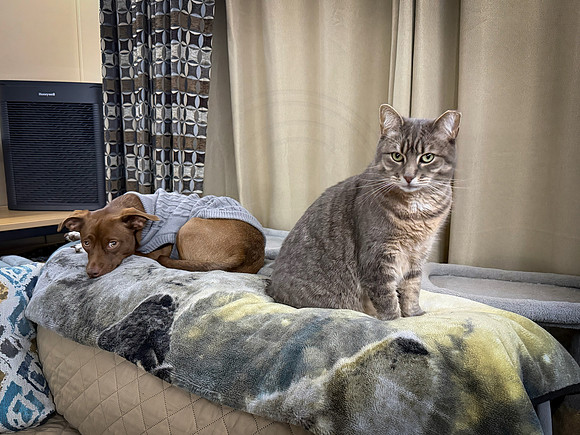 Mickey and Cooper