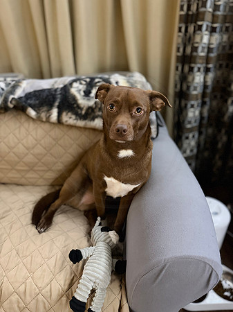 mickey with a toy