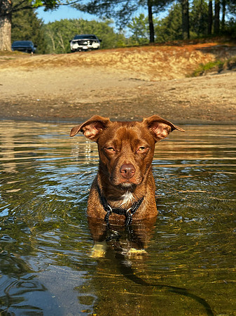 mickey at the beach