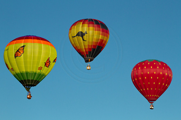 Hot Air Balloon