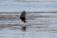 67 conowingo (AF3A002) November 21, 2019