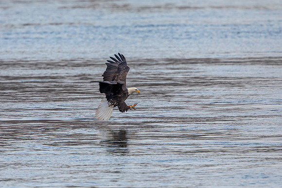 67 conowingo (AF3A002) November 21, 2019