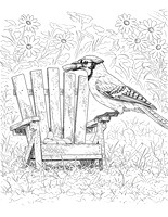 6a blue jay