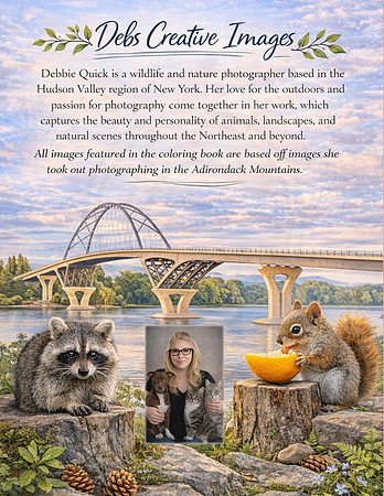1 Back Page Adirondack Wildlife Coloring Book